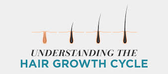 Understanding The Hair Growth Cycle Toppik Blog