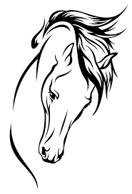 Learn how to draw a horse in a simple and interactive way! Arabian Horse Head Drawing Png Free Arabian Horse Head Drawing Png Transparent Images 93647 Pngio