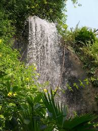 The eden project is made up of large gardens housed in tropical biomes that nestle in a crater the size of 30 football pitches. The Eden Project In The Rainforest Biome Mapio Net