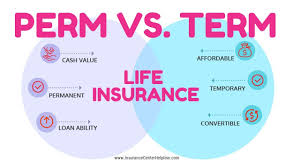 A life insurance policy refers to the contract between an insurance provider and an individual 1. Life Insurance What Is The Best Plan