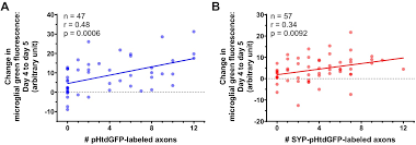 David lim & partners llp provides commercial, innovative and practical solutions to their clients in singapore, asia pacific and other parts of the world. Microglial Trogocytosis And The Complement System Regulate Axonal Pruning In Vivo Elife