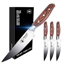 10 best steak knives by consumer guide