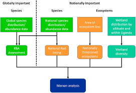Image result for Rytigynia ruwenzoriensis