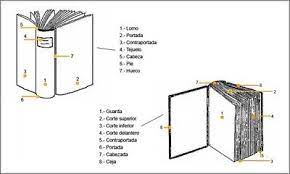 Luego, dibuja la parte principal del corazón en el interior. El Libro Y Sus Partes Spanish Books Diy Book Bookbinding