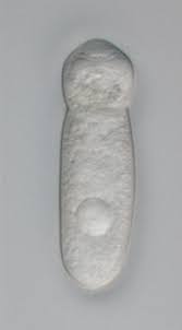 Image result for Lankesteria