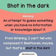 Idiom Of The Day Shot In The Dark Meaning An Attempt To Guess Something When You Have No Information Or Knowledge About English Idioms Idioms Learn English