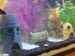 16 People Who Built Epically Geeky Habitats For Their Pets In 2020 Spongebob Fish Tank Fish Tank Themes Aquarium