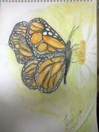 draw a butterfly pencil leaf tattoos maple leaf tattoo tattoos