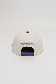 The lakers will have a ton of cap space in 2021, but is it enough to add a third star like giannis antetokounmpo? Fan Banner Deadstock Snapback White Purple Stateside Sports