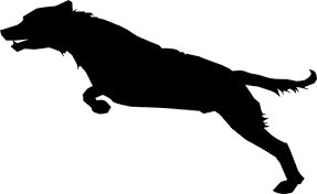 Image Result For Running Dog Pictures Jumping Dog Dog Silhouette Dog Vector