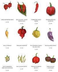 Super Hot Pepper Seeds Easy To Grow And They Add Lots Of