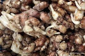 Selain mampu mengobati batuk berdahak dan kering, obat batuk ini mampu mengembalikan suara yang hilang serta menjaga daya tahan tubuh. Kencur Obat Batuk Herbal Begini Cara Dan Aturan Konsumsinya