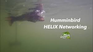 Humminbird Helix Networking The Technological Angler