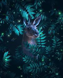 Justatony The Animal Series Another Moonlight Edit Created With Picsart App Inspired By Marcel Van Luit