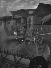 Image result for tbn:cRxpWML3C6TQFM::farm3.static.flickr.com/2382/2420623259_e3c8cd4fd8.jpg