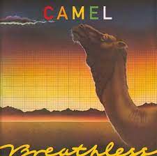 Camel 2002 a nod and a wink 06 squigely fair. Pin On My Vinyl I Have A Lot This Could Take A While