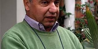 Tochecito: así quieren salvar de la desaparición a la palma de cera