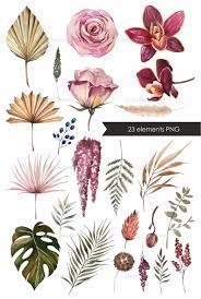 Watercolor Clipart Dried Flowers And Leaves Flower Elements Etsy In 2021 Floral Wreaths Illustration Flower Painting Watercolor Clipart