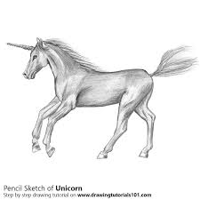 Get free shipping on qualified orders! Pencil Easy Pencil How To Draw A Unicorn Novocom Top