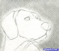 There are hundreds of resources available online too on how to draw a realistic dog step by step. Drawing Realistic Easy Basic Dog Drawing