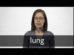 Another word for opposite of meaning of rhymes with sentences with find word forms translate from english translate to english words with friends scrabble crossword / codeword words starting with words ending with words. Lung Definition And Meaning Collins English Dictionary