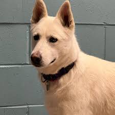 I wanted to show my progress with working out and I just realized I haven't  posted a picture of my tattoo