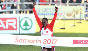 Temmuz 30, 2021 2020 tokyo olimpiyatları şok yenilgi! Time To Move On In Fake Turks Saga Fast Running