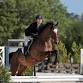 Festival of the Horse™ – Ocala