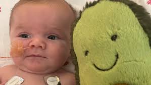 Fundraiser for Molly Simons-Kimball-Nussbaum by Kodie Dorman : Theo-Burrito  Medical Fund