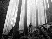 Bremsbelage Wechseln In 2 Minuten Simpel Einfach Youtube Bremsbelage Wechseln Fahrrad Werkstatt Mtb