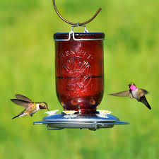 Find everything you need in one place. Mason Jar Pet Feeder Pasteurinstituteindia Com