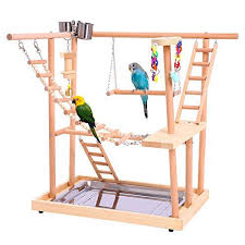 Wood Parrot Playground Perches With Swing Great Bird Training Play Stand For Parakeets African Grey Conures Cockatiel Bird Play Gym Bird Stand Diy Parrot Toys