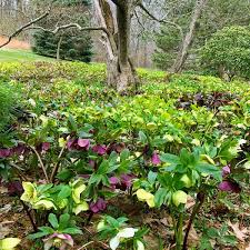 Check spelling or type a new query. The Easier Way To Make A Garden Bed The New York Times
