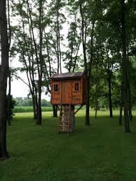 Everything, the staff really went out of their way to welcome us, they were friendly and chatty and nothing was too much bother. Tree House Made Out Of Pallets Tree House Pallet Tree Houses Cool Tree Houses