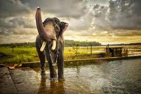 Kerala Hd Wallpapers For Desktop