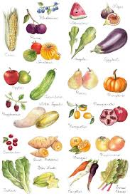 Fruits And Vegetables Print 11x17 By Thelittlecanoe On Etsy Vegetable Illustration Vegetable Prints Watercolor Food