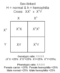 Work the following problems out in your notebook or on ss b. Pin On Random