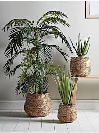 Maybe you would like to learn more about one of these? Pin On Plants Decor Indoor Plant Decor Indoor Indoor Flower Pots Indoor Plant Pots