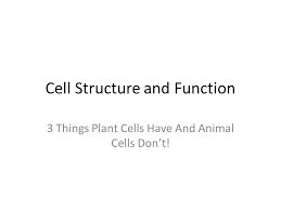 This rigidity allows plants to stand upright without the need for b. Cell Structure And Function 3 Things Plant Cells Have And Animal Cells Don T Ppt Download