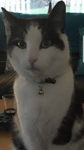 I don't know how to feel! I've reread this post for five days! I simply  don't know why we deserve this and I've thought and thought and almost just  said no! Why?