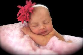 K. Steiger Photography