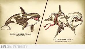 Pin On Assassin S Creed