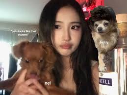 Box Hill Photo Booth