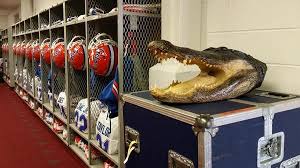 Pin On Florida Gators Chomp Chomp pin on florida gators chomp chomp
