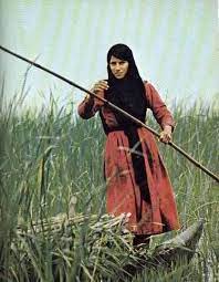 الگاردينيا مجلة ثقافية عامة الحياة تعود إلى أهوار العراق والسكان يشكون غياب الخدمات baghdad iraq iraq egyptian art