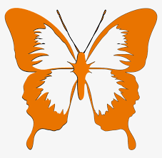 Agar gambar yang anda hasilkan sesuai dengan bentuk nyatanya, maka anda bisa mengikuti beberapa langkah yang ada di bawah berikut: Orange Butterfly Png Clip Art Gambar Kupu Kupu Cantik Free Transparent Png Download Pngkey