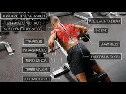 Muscle or ligament strains can occur from repeated use of the muscles, or from improperly or awkwardly lifting heavy objects. Back Workout Routine Best Exercises For Mass