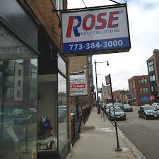 Maybe you would like to learn more about one of these? Chicago Pest Control Service Chicago Bug Company Rose Pest Solutions