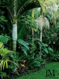 New Zealand Subtropical Gardens Google Search Tropical Backyard Landscaping Tropical Garden Design Tropical Landscaping