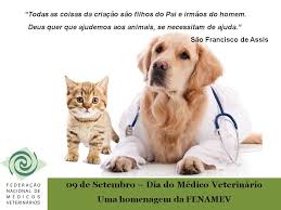 Hospital veterinário popular 24 horas. Dia Nacional Do Medico Veterinario Essenciais Para A Saude Animal Da Populacao E O Meio Ambiente Sindicato Dos Medicos Veterinarios Rj